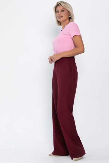 Брюки Брайн (слива) Б14104-34М